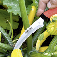 Harvesting and Asparagus Knife