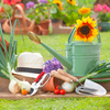 Haws 5ltr Slim Metal Watering Can - Sage
