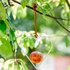 Heart-Shaped Apple Bird Feeder