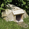 Hedgehog House