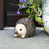 Hedgehog Key Caddy