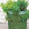 Herb Kit & Planters
