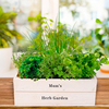 Herb Plant Collection with Crate + FREE Herb Scissors