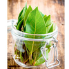 Herb Plants - Bouquet Garni
