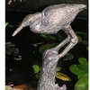 Heron on Log