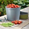 Hip-Trug Large - Moss Green