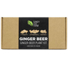 Home Brew - Ginger Beer Twin Pack