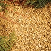 Honey Stone Chippings - Bulk