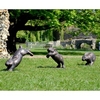 Hopping Rabbits