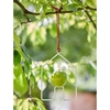 House Shaped Apple Bird Feeder