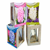 Hyacinth Lantern (Indoor)