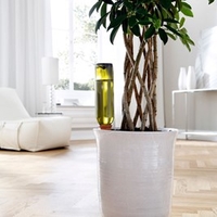 Hydro Wine-Recycle a wine bottle