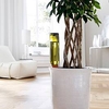 Hydro Wine-Recycle a wine bottle