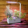 Hydroponic Grow Pod 2