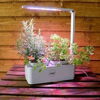 Hydroponic Grow Pod 2
