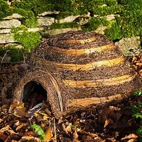 Igloo Hedgehog House
