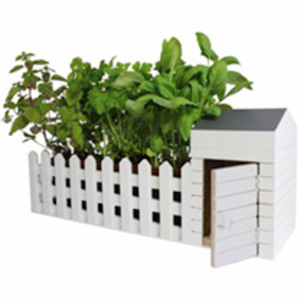 Indoor Allotment Planter