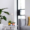 Indoor Plant Light Care