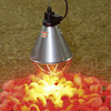 Infrared Reflector Heat Lamps - 2 x 250w