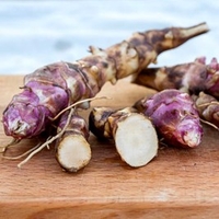 Jerusalem Artichoke Gourmet Roots - Papas