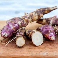 Jerusalem Artichoke Papas (6) Gourmet roots