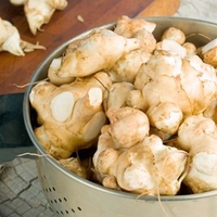 Jerusalem Artichoke Tubers - Fuseau