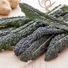 Kale Seeds - Yurok F1
