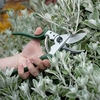 Kew Ergo Bypass Secateurs