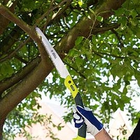 Kew Large Folding Pruning Saw