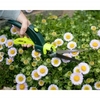 Kew Single Handed Grass Shear