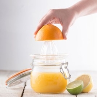Kilner Juicer Set