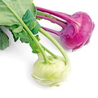 Kohl Rabi Plants - Duo Pack