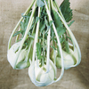 Kohl Rabi Seeds - Lanro