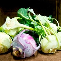 Kohlrabi Seeds - Purple and White Mixed