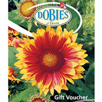 L10 Online Gift Voucher