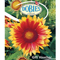 L150 Online Gift Voucher
