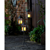 Lantern Tree