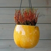 Large Fruit Flower Pot