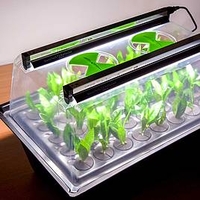 Large Heated Hydropod Cutting Propagator with Lights and Heater