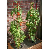 Large Vegetable Plant Support