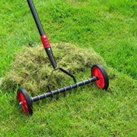Lawn Scarifier plus FREE lawn seed