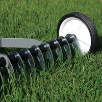 Lawn Scarifier plus FREE Lawn Seed
