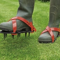 Lawn Spikes