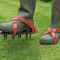 Lawn Spikes