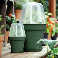 Leaf Green Grow Pot 30cm + Bell Cover + Saucer