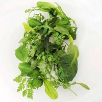 Leaf Salad Seeds - French