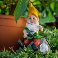 LED Gnome Duo