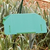 Leek Moth Trap Refill