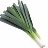 Leek Plants - F1 Megaton