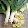 Leek Seeds - Lyon Prizetaker